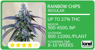 Finding Quality Cannabis Seeds in Rhode Island Finding Quality Cannabis Seeds in Rhode Island