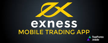 Understanding the Competitive Exness Fees and Their Impact on Your Trading Understanding the Competitive Exness Fees and Their Impact on Your Trading